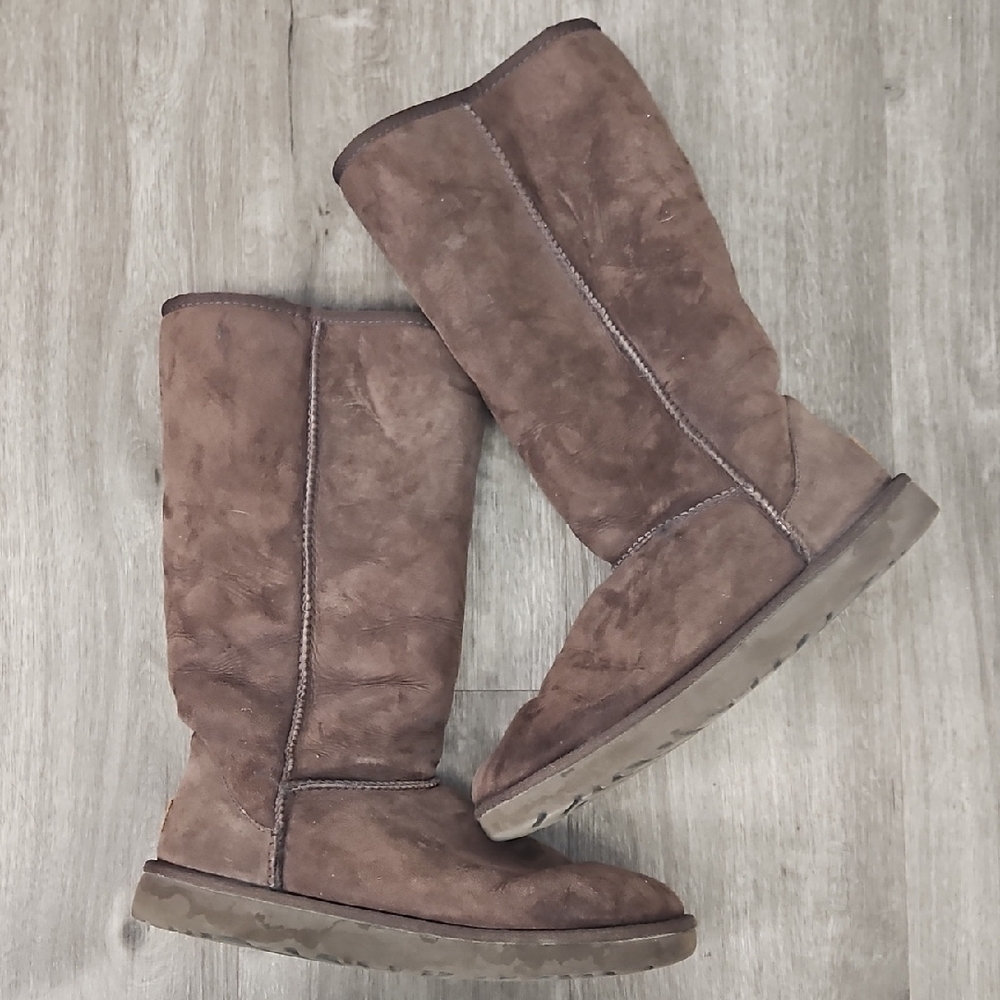 UGG Chestnut Suede Winter Boots